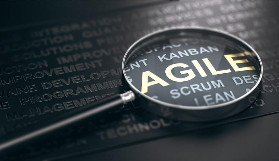 Agile Cahra Zanfrini