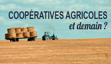 Coopératives agricoles : quel chemin de réussite pour demain ? H3O - Management de Transition