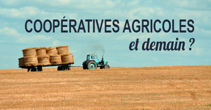 Coopératives agricoles : quel chemin de réussite pour demain ? H3O - Management de Transition