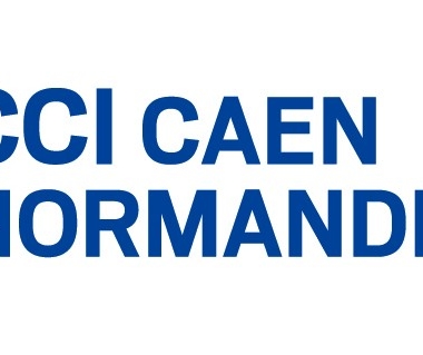 Présentation du Management de transition à la CCI de Caen