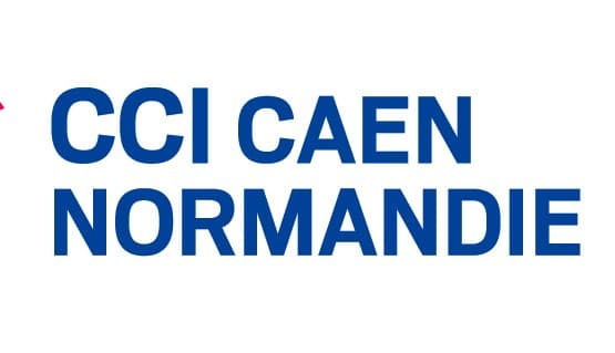 Présentation du Management de transition à la CCI de Caen